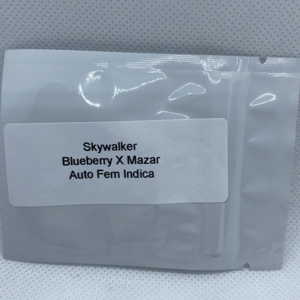 Master Sensei - Skywalker