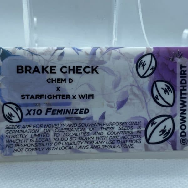 Down With Dirt - Brake Check