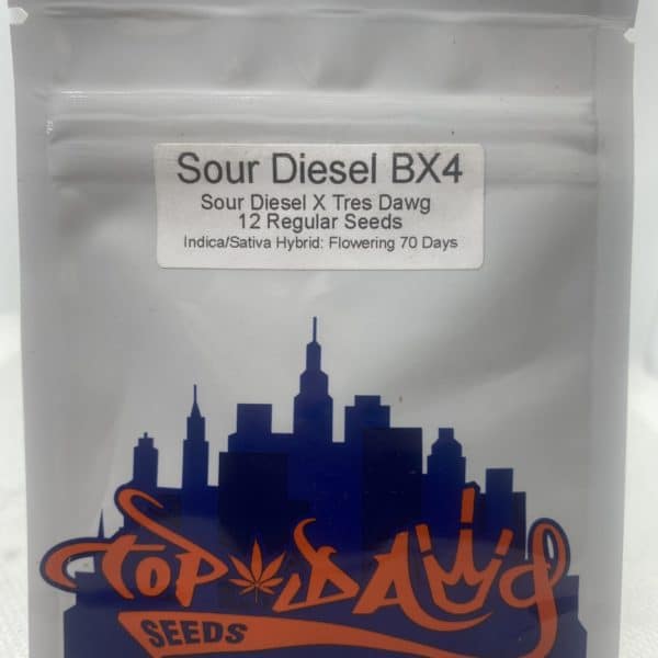 Top Dawg Seeds - Sour Diesel BX4