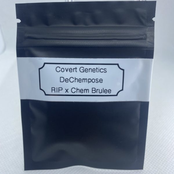 Covert Genetics - DeChempose
