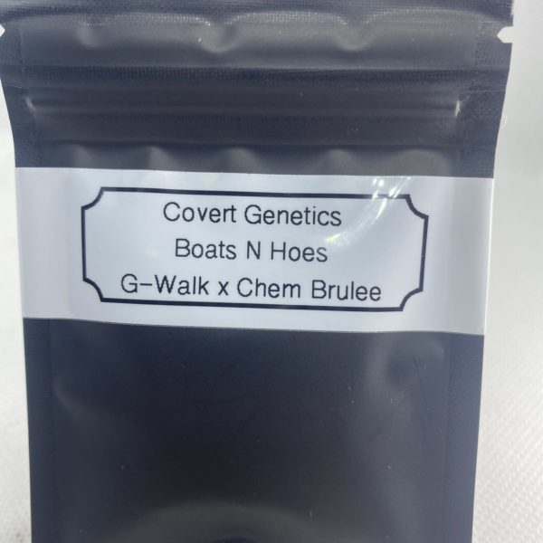 Covert Genetics - Boats N Hoes