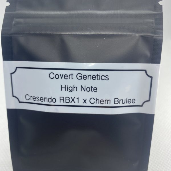 Covert Genetics - High Note