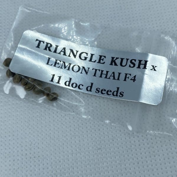Magic Spirit Seed Co - Triangle Kush x Lemon Thai F4