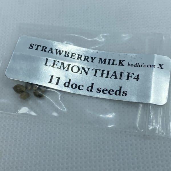 Magic Spirit Seed Co - Strawberry Milk (bodhi cut) x Lemon Thai F4