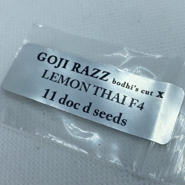 Magic Spirit Seed Co - Goji Razz (bodhi cut) x Lemon Thai F4