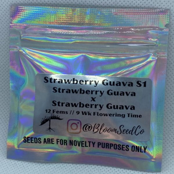 Bloom Seed Co - Strawberry Guava S1