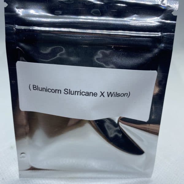 Masonic Seed Co - Blunicorn Slurricane x Wilson