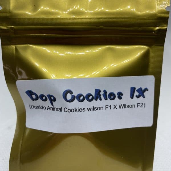 Masonic Seed Co - Bop Cookies IX