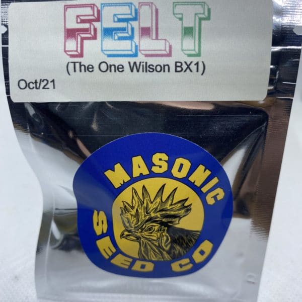 Masonic Seed Co - FELT