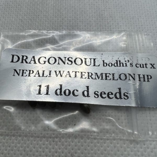 Magic Spirit Seed Co - Dragonsoul (bodhi's cut) x Nepali Watermelon HP