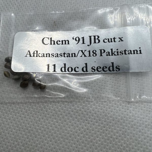 Magic Spirit Seed Co - Chem '91 (JB cut) x Afkansastan/X18 Pakistani