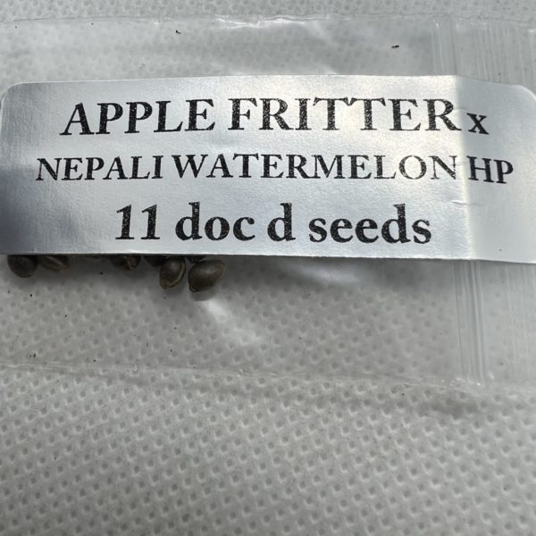 Magic Spirit Seed Co - Apple Fritter x Nepali Watermelon HP