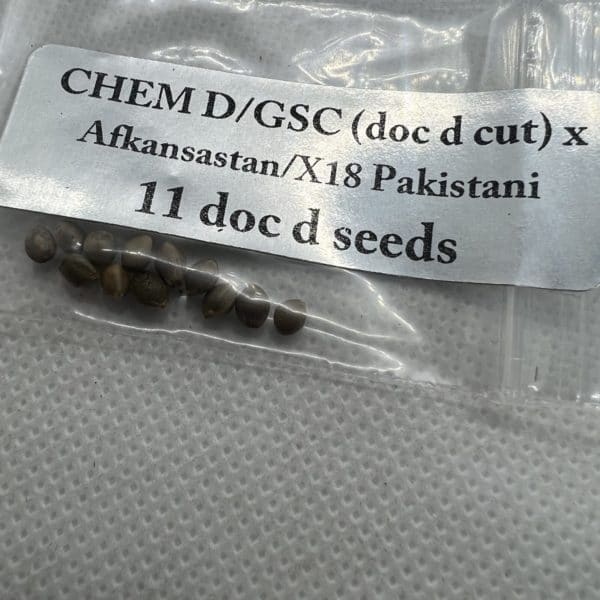 Magic Spirit Seed Co - Chem D/GSC (Doc D cut) x Afkansastan/X18 Pakistani