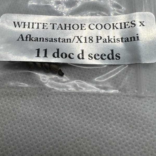 Magic Spirit Seed Co - White Tahoe Cookies x Afkansastan/X18 Pakistani