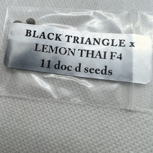 Magic Spirit Seed Co - Black Triangle x Lemon Thai F4