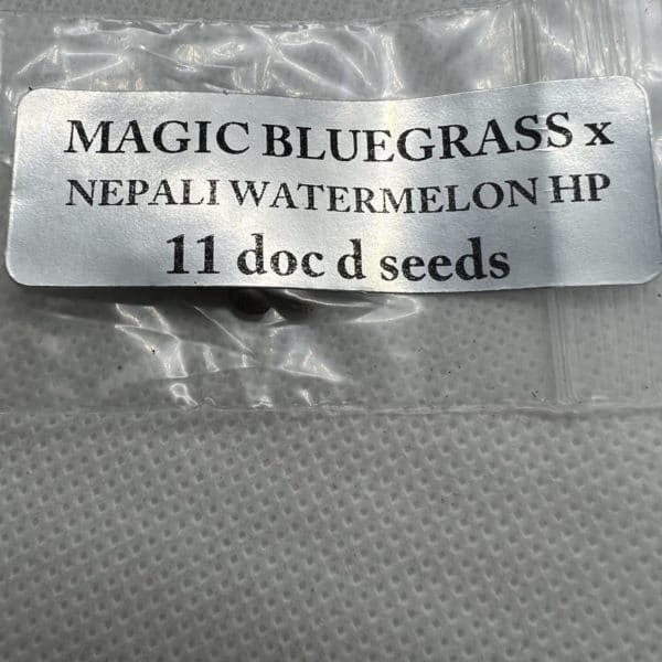 Magic Spirit Seed Co - Magic Bluegrass x Nepali Watermelon HP