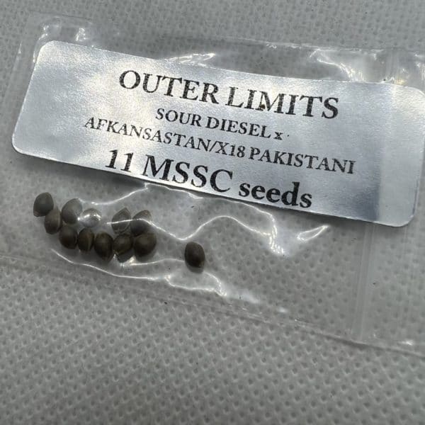 Magic Spirit Seed Co - Outer Limits (Sour Diesel x Afkansastan/X18 Pakistani)