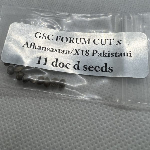 Magic Spirit Seed Co - GSC Forum Cut x Afkansastan/X18 Pakistani