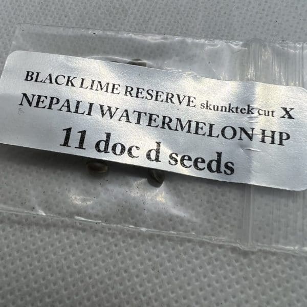 Magic Spirit Seed Co - Black Lime Reserve (skunktek cut) x Nepali Watermelon HP
