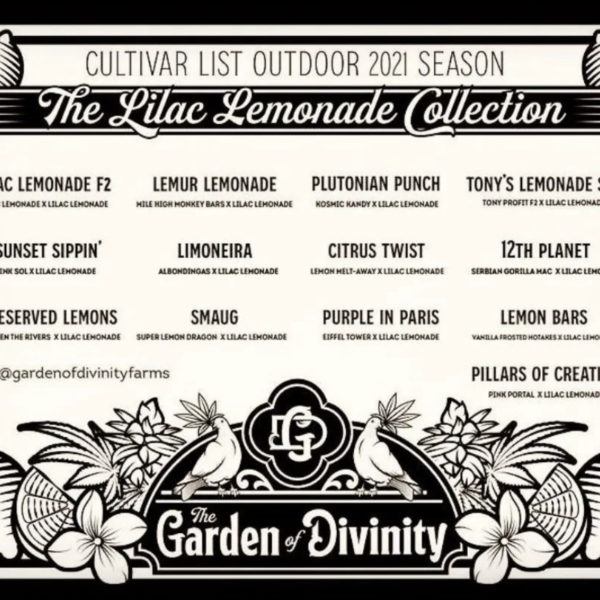 The Garden of Divinity Farms - Pillars of Creation