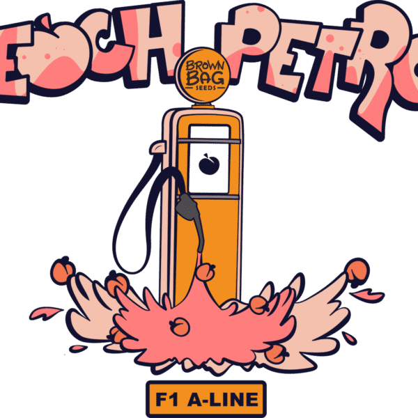 Brown Bag Seeds - Peach Petrol A-Line F1