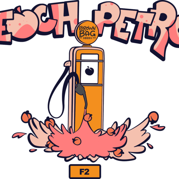 Brown Bag Seeds - Peach Petrol F2