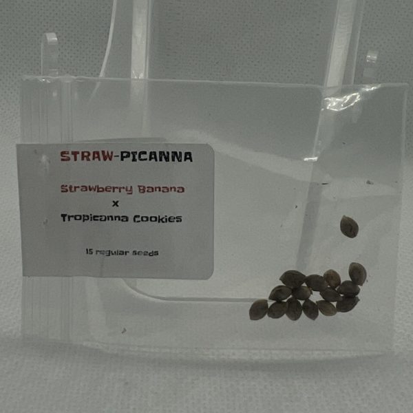 Oni Seed Co - Straw-Picanna