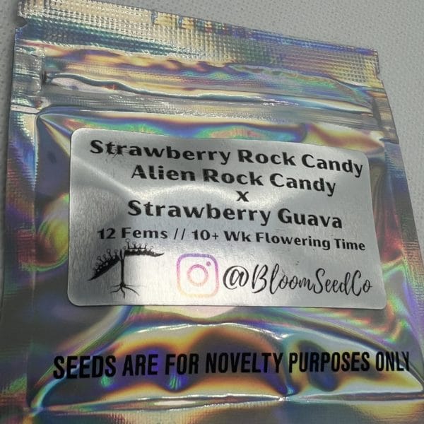 Bloom Seed Co - Strawberry Rock Candy (fem)