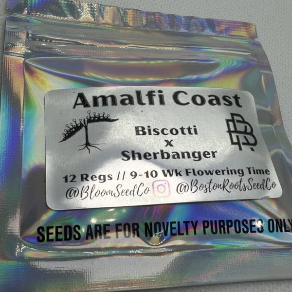 Bloom Seed Co/Boston Roots - Amalfi Coast