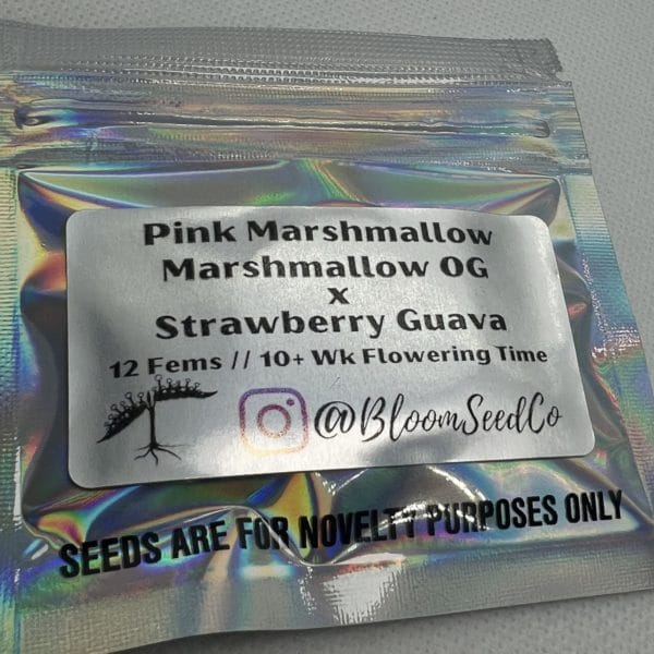 Bloom Seed Co - Pink Marshmallow (fem)