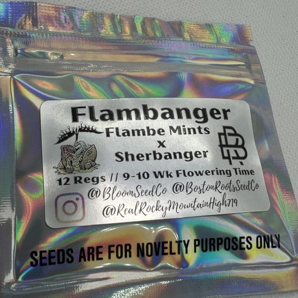 Bloom Seed Co/Boston Roots - Flambanger