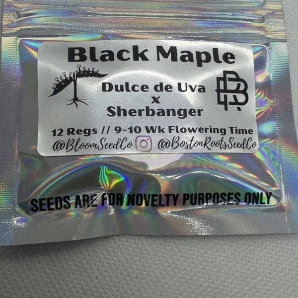 Bloom Seed Co/Boston Roots- Black Maple