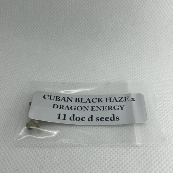 Magic Spirit Seed Co - Cuban Black Haze x Dragon Energy