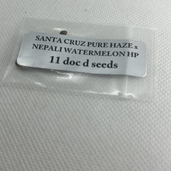 Magic Spirit Seed Co - Santa Cruz Pure Haze x Nepali Watermelon HP