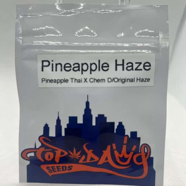 Top Dawg Seeds - Pineapple Haze