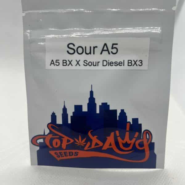 Top Dawg Seeds - Sour A5