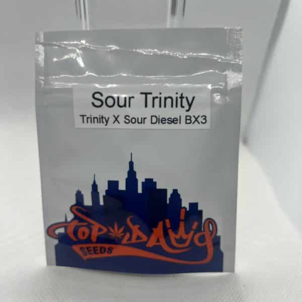 Top Dawg Seeds - Sour Trinity
