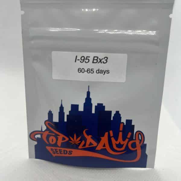 Top Dawg Seeds - I-95 Bx3