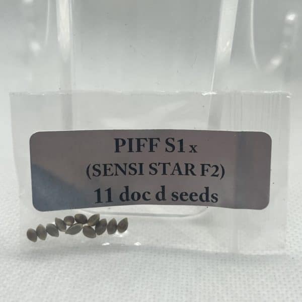 Magic Spirit Seed Co - Piff S1 x Sensi Star F2