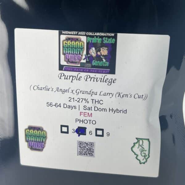Prairie State Genetix/Grand Daddy Purp - Purple Privilege