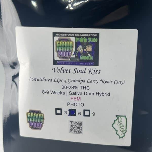 Prairie State Genetix/Grand Daddy Purp - Velvet Soul Kiss