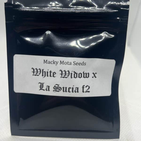 Macky Mota Seeds - White Widow x La Sucia F2