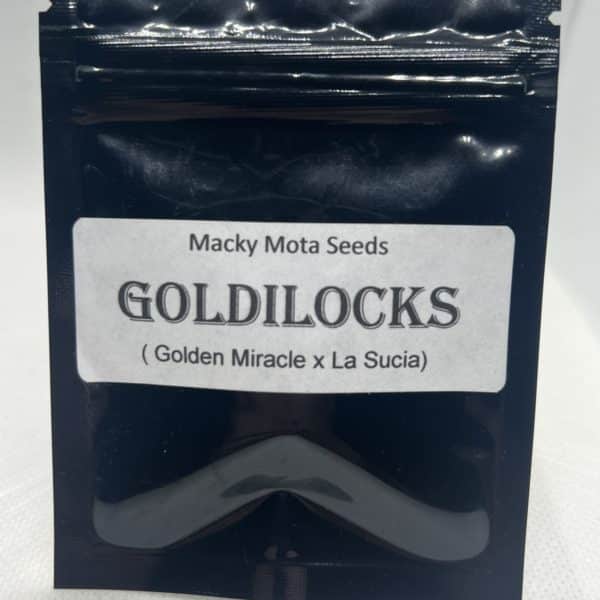 Macky Mota Seeds - Goldilocks