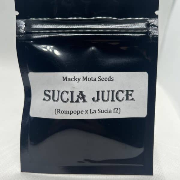 Macky Mota Seeds - Sucia Juice