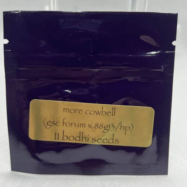 Bodhi Seeds - More Cowbell
