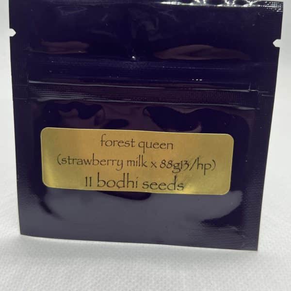 Bodhi Seeds- Forest Queen