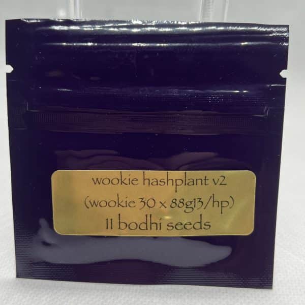 Bodhi Seeds - Wookie Hashplant V2