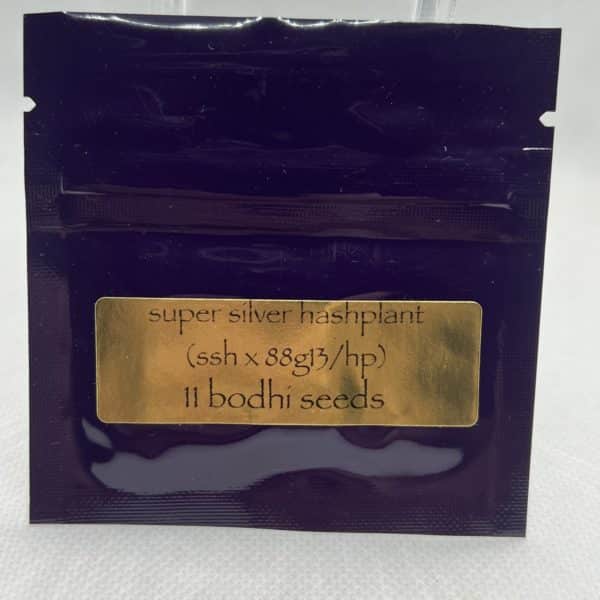 Bodhi Seeds - Super Silver Hashplant