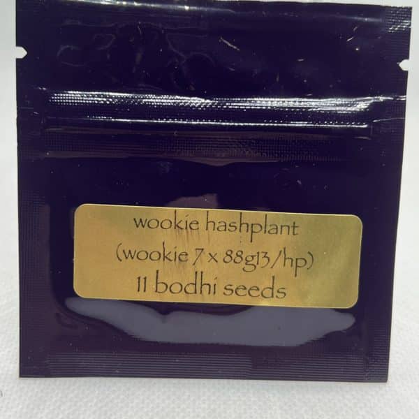 Bodhi Seeds - Wookie Hashplant