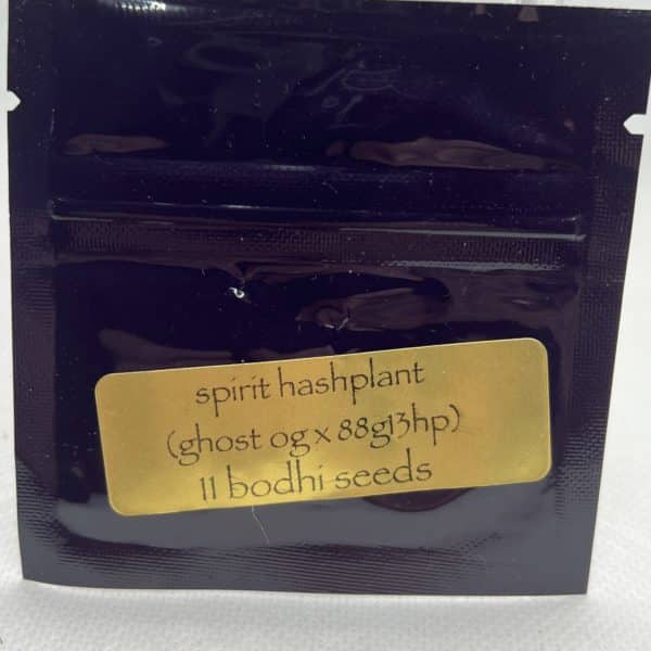 Bodhi Seeds - Spirit Hashplant